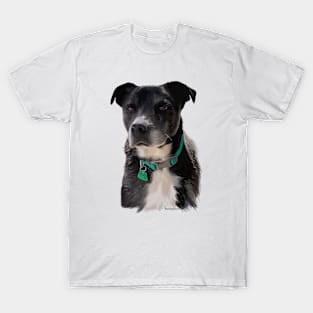 Roxy, Beloved Pet T-Shirt